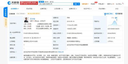 芯擎科技引領(lǐng)7nm車規(guī)級(jí)芯片創(chuàng)新，專利布局助力數(shù)據(jù)處理與存儲(chǔ)效能提升